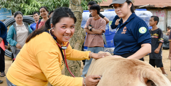 Cow in Laos