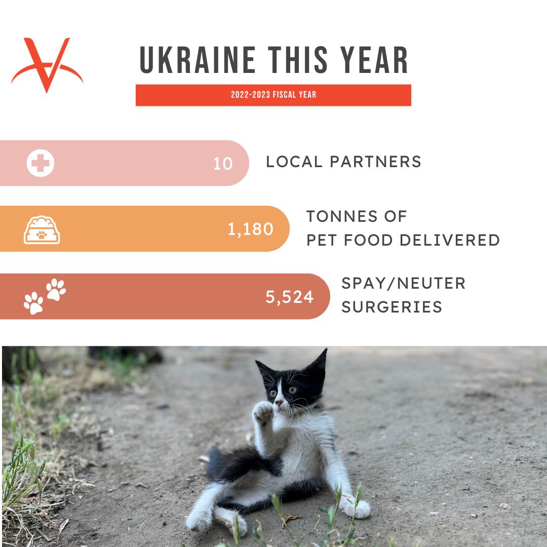 2023-2023 Stats at a glance Ukraine