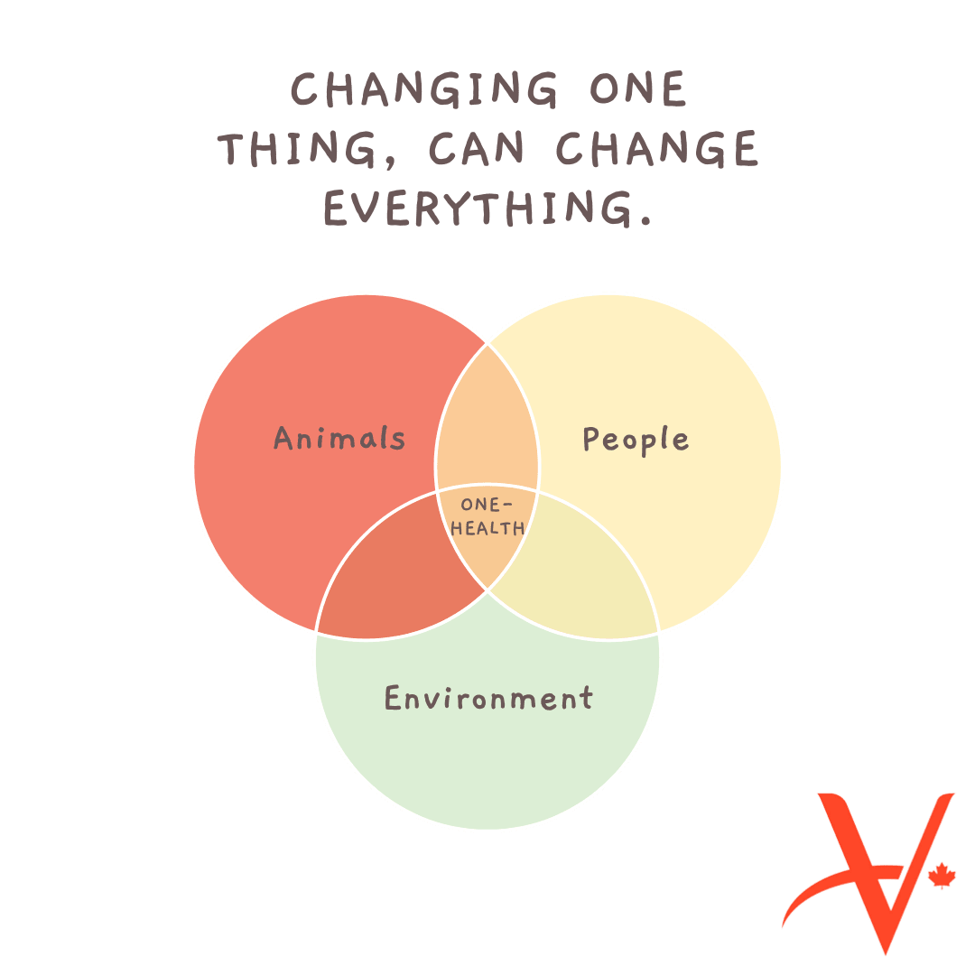 One Health Approach, Changing one thing can change everything. 