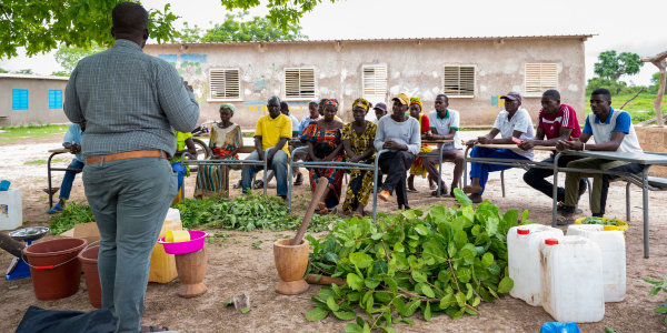 Volunteer instructing environmental practices in Senegal