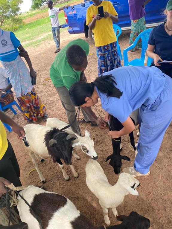 Vaccination campaigns in a community near Sirigu