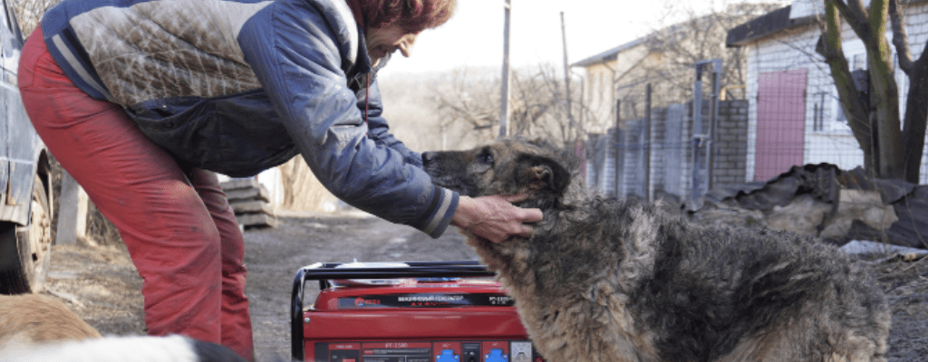 animal shelter worker in ukraine