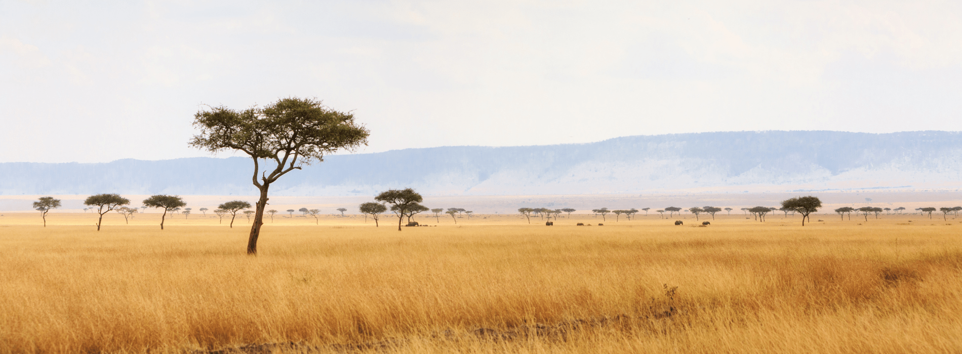 Landscape shot of hilly Kenyan savannah