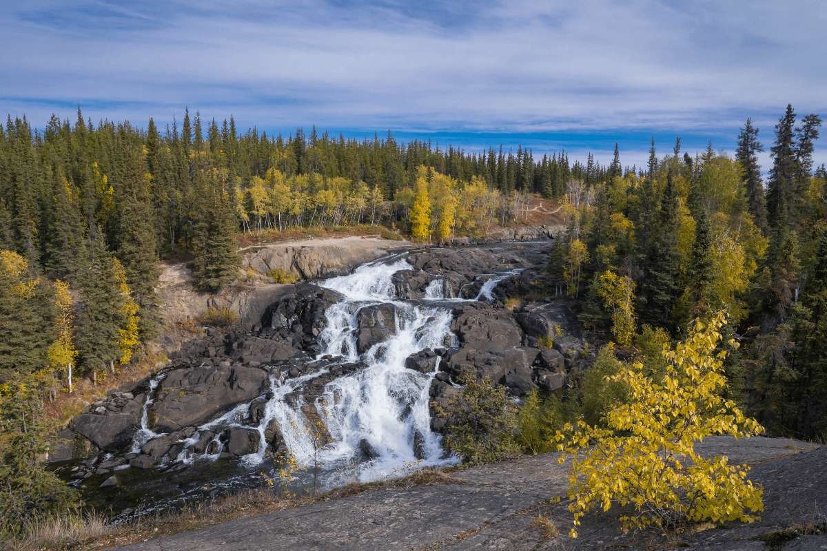 nwt landscape
