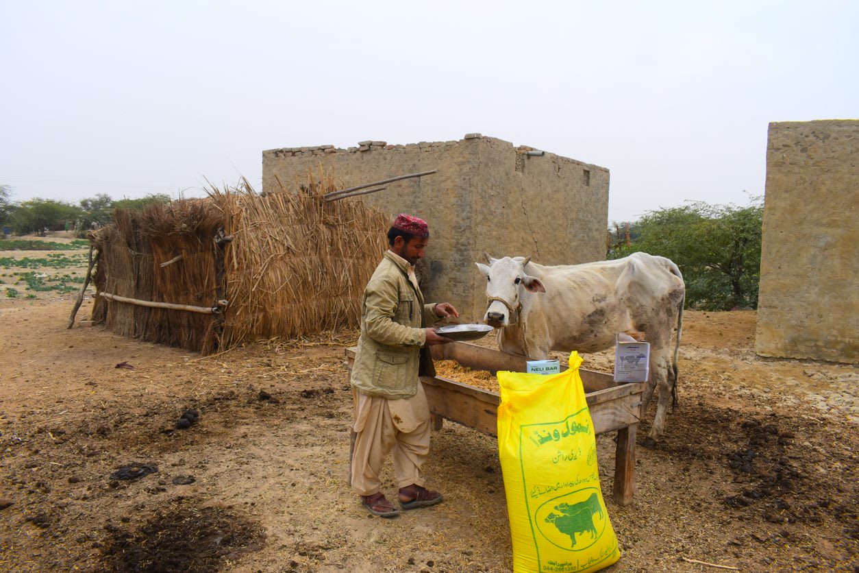 livestock feed training pakistan