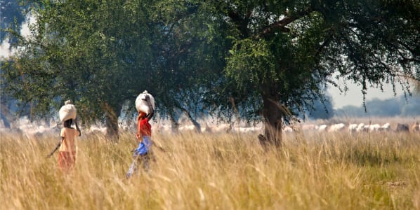 Two women walking through a grassy field carrying large sacks on their heads.