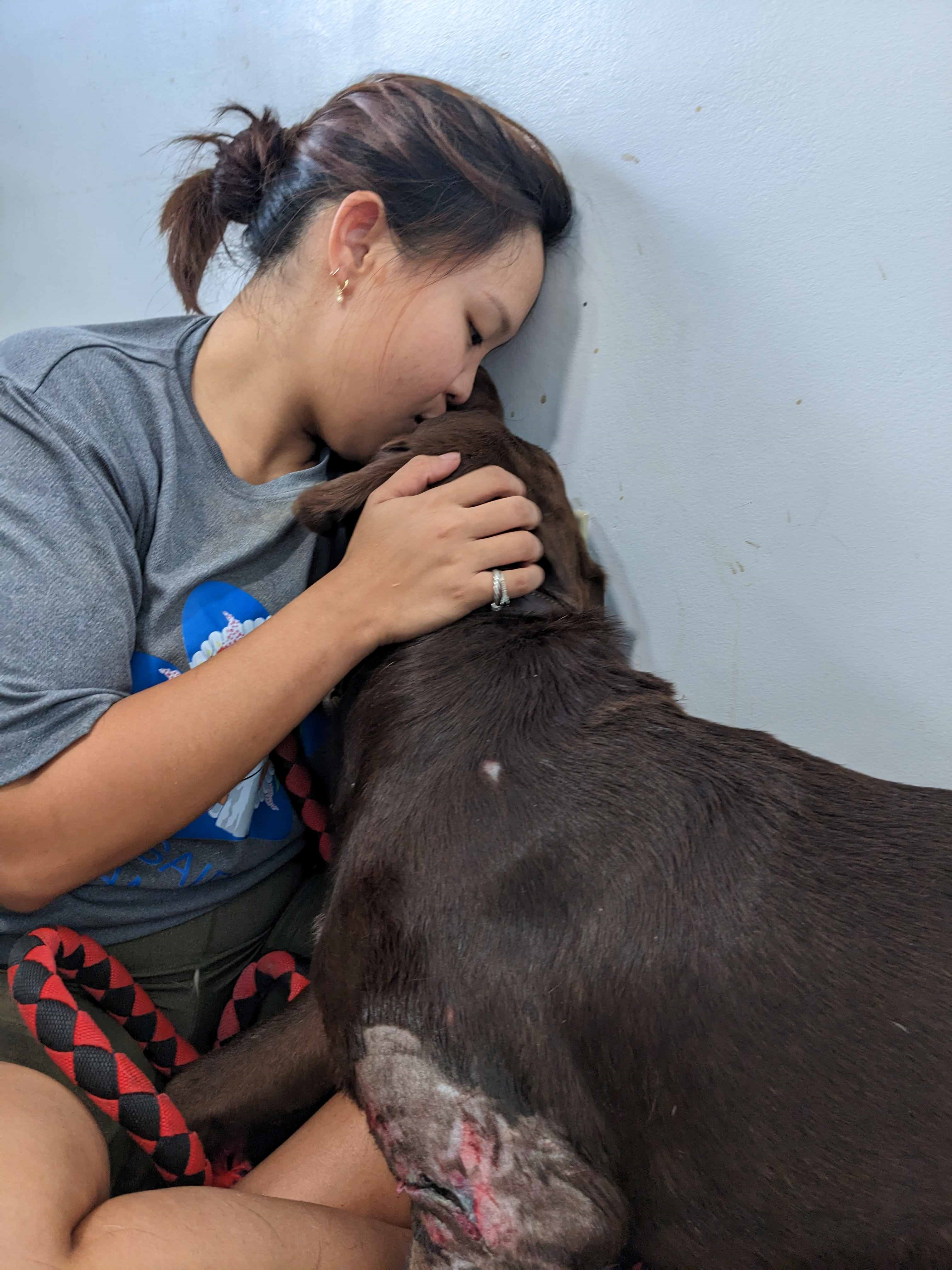 saipan humane society worker with dog