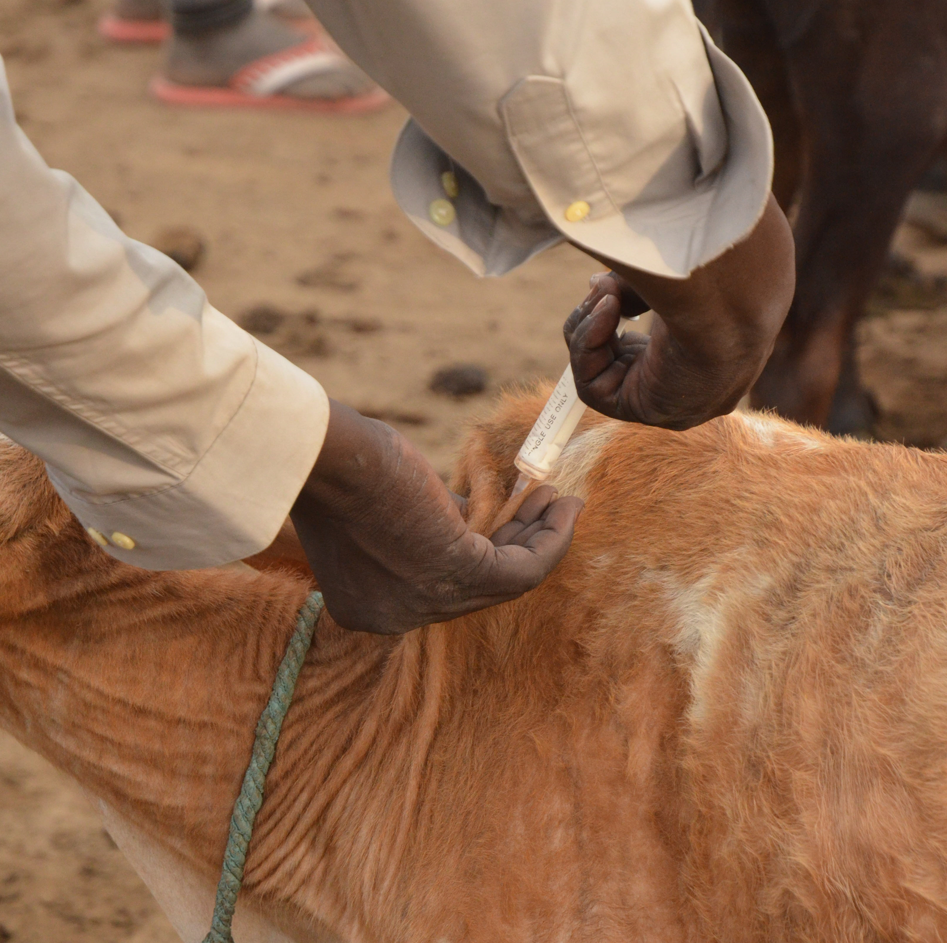 South Sudan vaccination campaign