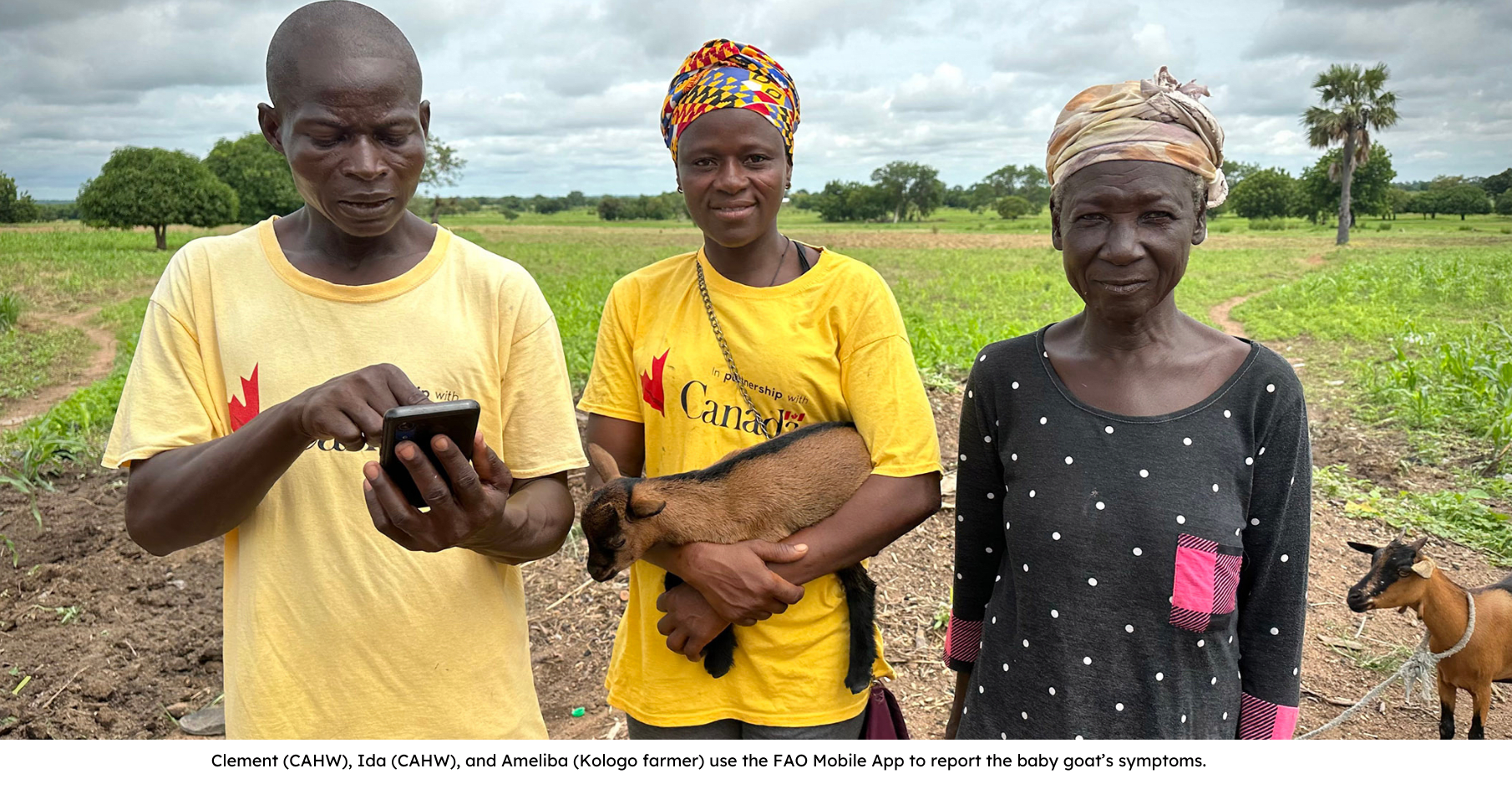Clement (CAHW), Ida (CAHW, and Ameliba (Kologo farmer) use the FAO Mobile App to report the baby goat’s symptoms.