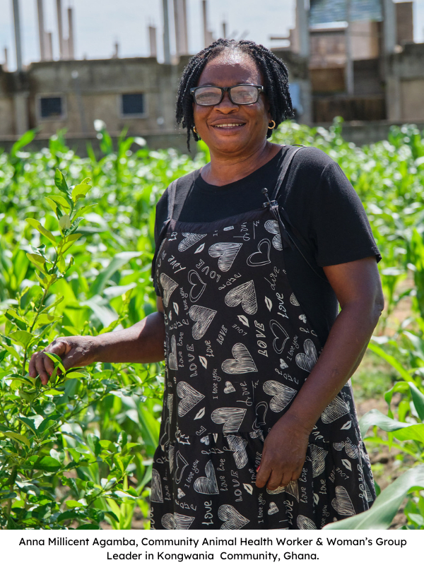 Anna Millicent Agamba, Community Animal Health Worker & Woman’s Group Leader in Kongwania  Community, Ghana.