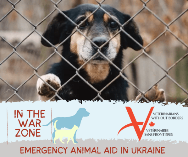 Ukraine Emergency Appeal | Veterinarians Without Borders