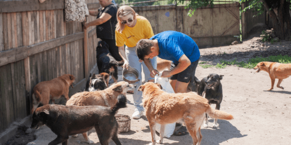 Volunteers feed dogs in Ukraine