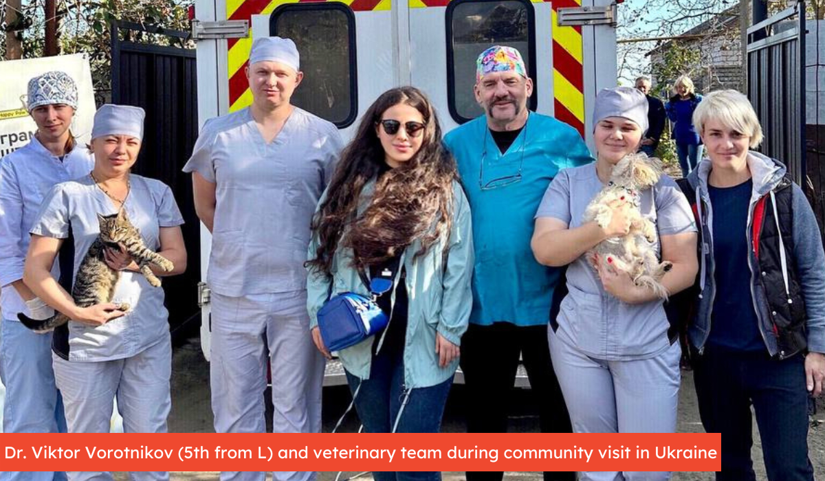 vet team in ukraine