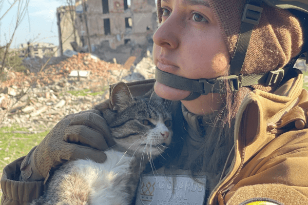 ukraine cat - 12 guards