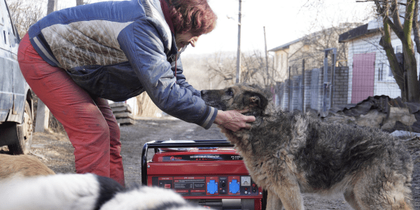 image of shelter workers helping in Ukraine