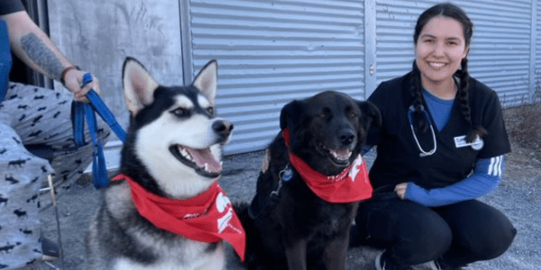 A veterinary student supports two dogs in northern canada