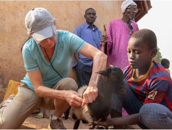 Young boy holds a goat while a volunteer administers a vaccination. 